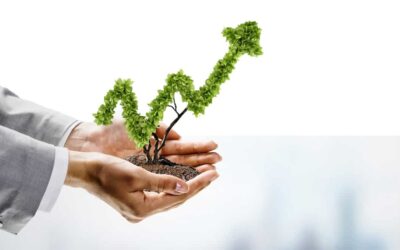 Cómo un avalúo profesional puede aumentar el valor percibido de tu propiedad